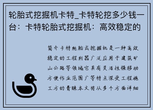 轮胎式挖掘机卡特_卡特轮挖多少钱一台：卡特轮胎式挖掘机：高效稳定的工程利器